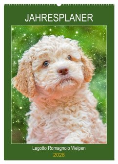 Cover Jahresplaner Lagotto Romagnolo Welpen (Wandkalender 2026 DIN A2 hoch), CALVENDO Monatskalender