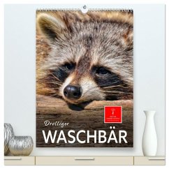 Drolliger Waschbär (hochwertiger Premium Wandkalender 2026 DIN A2 hoch), Kunstdruck in Hochglanz Drolliger Waschbär (hochwertiger Premium Wandkalender 2026 DIN A2 hoch), Kunstdruck in Hochglanz