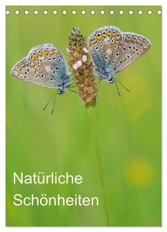 Insekten,Schönheiten der Natur (Tischkalender 2026 DIN A5 hoch), CALVENDO Monatskalender