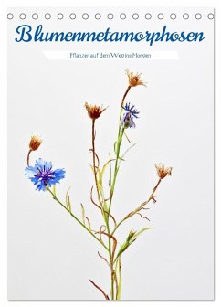 Blumenmetamorphosen (Tischkalender 2026 DIN A5 hoch), CALVENDO Monatskalender Blumenmetamorphosen (Tischkalender 2026 DIN A5 hoch), CALVENDO Monatskalender
