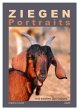 Ziegenportraits (Tischkalender 2026 DIN... - Bild 1