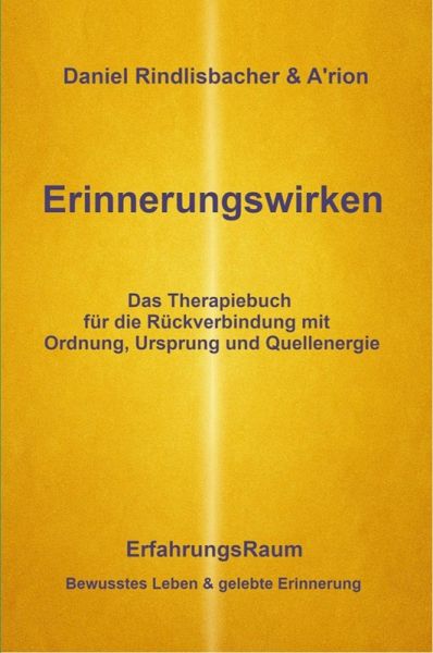 Erinnerungswirken (eBook, ePUB)