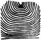 Howl (Limited Clear Vinyl)