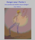 Danger sexy ! (eBook, ePUB)