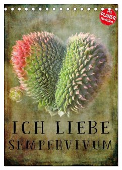 Ich liebe Sempervivum (Tischkalender 2026 DIN A5 hoch), CALVENDO Monatskalender Ich liebe Sempervivum (Tischkalender 2026 DIN A5 hoch), CALVENDO Monatskalender