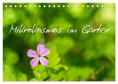 Mikrokosmos im Garten (Tischkalender 2026 DIN A5 quer), CALVENDO Monatskalender