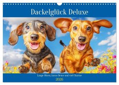 Dackelglück Deluxe. Lange Ohren, kurze Beine und viel Charme (Wandkalender 2026 DIN A3 quer), CALVENDO Monatskalender Dackelglück Deluxe. Lange Ohren, kurze Beine und viel Charme (Wandkalender 2026 DIN A3 quer), CALVENDO Monatskalender