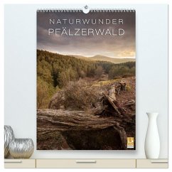 Cover NATURWUNDER PFÄLZERWALD (hochwertiger Premium Wandkalender 2026 DIN A2 hoch), Kunstdruck in Hochglanz