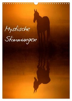 Mystische Stimmungen (Wandkalender 2026 DIN A3 hoch), CALVENDO Monatskalender