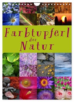 Cover Farbtupferl der Natur (Wandkalender 2026 DIN A4 hoch), CALVENDO Monatskalender