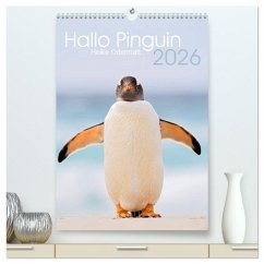 Hallo Pinguin (hochwertiger Premium Wandkalender 2026 DIN A2 hoch), Kunstdruck in Hochglanz