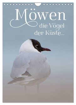 Cover Möwen - die Vögel der Küste (Wandkalender 2026 DIN A4 hoch), CALVENDO Monatskalender