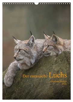 Cover Der eurasische Luchs (Wandkalender 2026 DIN A3 hoch), CALVENDO Monatskalender