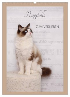 Cover Ragdolls zum Verlieben (Wandkalender 2026 DIN A2 hoch), CALVENDO Monatskalender