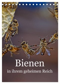 Cover Bienen in ihrem geheimen Reich (Tischkalender 2026 DIN A5 hoch), CALVENDO Monatskalender