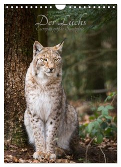 Cover Der Luchs - Europas größte Samtpfote (Wandkalender 2026 DIN A4 hoch), CALVENDO Monatskalender