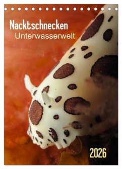 Nacktschnecken - Unterwasserwelt 2026 (Tischkalender 2026 DIN A5 hoch), CALVENDO Monatskalender