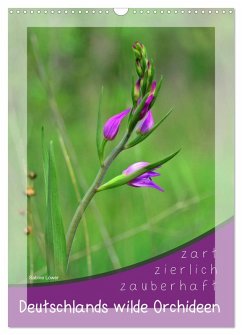 Cover Deutschlands wilde Orchideen (Wandkalender 2026 DIN A3 hoch), CALVENDO Monatskalender