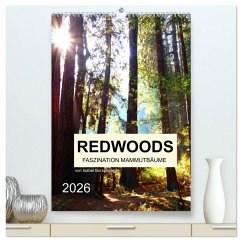 Cover Redwoods - Faszination Mammutbäume (hochwertiger Premium Wandkalender 2026 DIN A2 hoch), Kunstdruck in Hochglanz