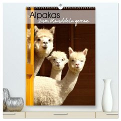 Alpakas zum Knuddeln gerne (hochwertiger Premium Wandkalender 2026 DIN A2 hoch), Kunstdruck in Hochglanz