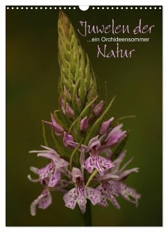 Juwelen der Natur - Ein Orchideensommer (Wandkalender 2026 DIN A3 hoch), CALVENDO Monatskalender
