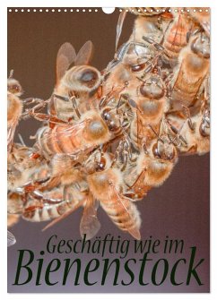 Cover Geschäftig wie im Bienenstock (Wandkalender 2026 DIN A3 hoch), CALVENDO Monatskalender