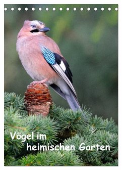 Vögel im heimischen Garten (Tischkalender 2026 DIN A5 hoch), CALVENDO Monatskalender Vögel im heimischen Garten (Tischkalender 2026 DIN A5 hoch), CALVENDO Monatskalender