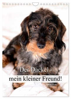 Der Dackel - mein kleiner Freund (Wandkalender 2026 DIN A4 hoch), CALVENDO Monatskalender