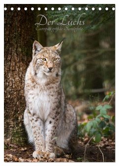 Cover Der Luchs - Europas größte Samtpfote (Tischkalender 2026 DIN A5 hoch), CALVENDO Monatskalender