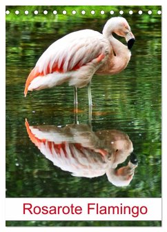 Rosarote Flamingo (Tischkalender 2026 DIN A5 hoch), CALVENDO Monatskalender Rosarote Flamingo (Tischkalender 2026 DIN A5 hoch), CALVENDO Monatskalender