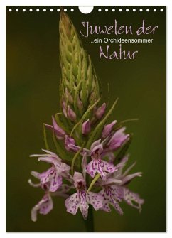Juwelen der Natur - Ein Orchideensommer (Wandkalender 2026 DIN A4 hoch), CALVENDO Monatskalender