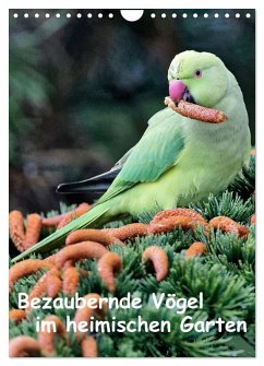 Bezaubernde Vögel im heimischen Garten (Wandkalender 2026 DIN A4 hoch), CALVENDO Monatskalender Bezaubernde Vögel im heimischen Garten (Wandkalender 2026 DIN A4 hoch), CALVENDO Monatskalender