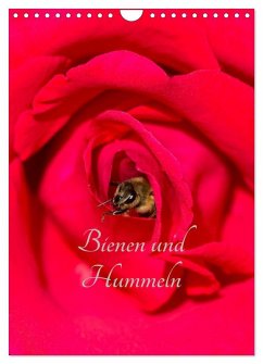 Cover Bienen und Hummeln (Wandkalender 2026 DIN A4 hoch), CALVENDO Monatskalender
