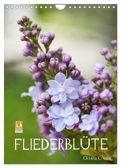 Fliederblüte (Wandkalender 2026 DIN A4 hoch), CALVENDO Monatskalender Fliederblüte (Wandkalender 2026 DIN A4 hoch), CALVENDO Monatskalender