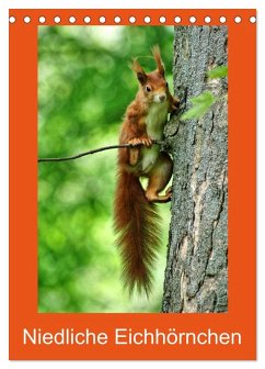Niedliche Eichhörnchen (Tischkalender 2026 DIN A5 hoch), CALVENDO Monatskalender Niedliche Eichhörnchen (Tischkalender 2026 DIN A5 hoch), CALVENDO Monatskalender