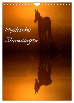 Mystische Stimmungen (Wandkalender 2026 DIN A4 hoch), CALVENDO Monatskalender