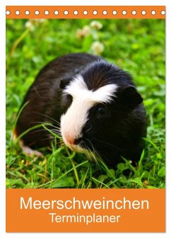 Meerschweinchen Terminplaner (Tischkalender 2026 DIN A5 hoch), CALVENDO Monatskalender Meerschweinchen Terminplaner (Tischkalender 2026 DIN A5 hoch), CALVENDO Monatskalender