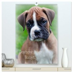 Deutsche Boxer Babys... (hochwertiger Premium Wandkalender 2026 DIN A2 hoch), Kunstdruck in Hochglanz