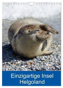 Einzigartige Insel Helgoland (Wandkalender 2026 DIN A4 hoch), CALVENDO Monatskalender Einzigartige Insel Helgoland (Wandkalender 2026 DIN A4 hoch), CALVENDO Monatskalender