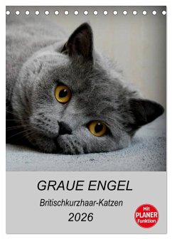 Graue Engel - Britischkurzhaar-Katzen (Tischkalender 2026 DIN A5 hoch), CALVENDO Monatskalender Graue Engel - Britischkurzhaar-Katzen (Tischkalender 2026 DIN A5 hoch), CALVENDO Monatskalender