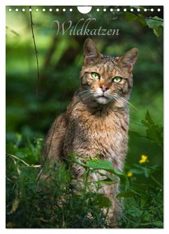 Cover Wildkatzen - scheue Jäger (Wandkalender 2026 DIN A4 hoch), CALVENDO Monatskalender