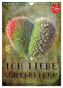Cover Ich liebe Sempervivum (Wandkalender 2026 DIN A4 hoch), CALVENDO Monatskalender