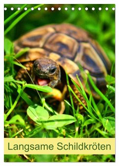 Langsame Schildkröten (Tischkalender 2026 DIN A5 hoch), CALVENDO Monatskalender Langsame Schildkröten (Tischkalender 2026 DIN A5 hoch), CALVENDO Monatskalender