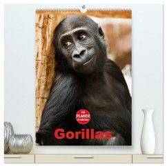 Cover Gorillas (hochwertiger Premium Wandkalender 2026 DIN A2 hoch), Kunstdruck in Hochglanz