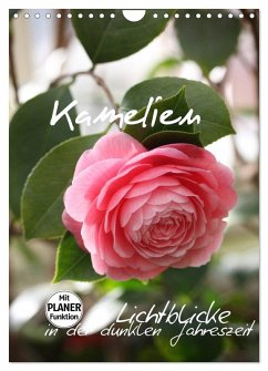 Kamelien Lichtblicke in der dunklen Jahreszeit (Wandkalender 2026 DIN A4 hoch), CALVENDO Monatskalender Kamelien Lichtblicke in der dunklen Jahreszeit (Wandkalender 2026 DIN A4 hoch), CALVENDO Monatskalender