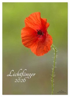 Lichtfänger (Tischkalender 2026 DIN A5 hoch), CALVENDO Monatskalender Lichtfänger (Tischkalender 2026 DIN A5 hoch), CALVENDO Monatskalender