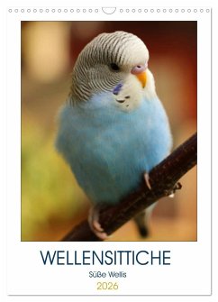WELLENSITTICHE - Süße Wellis (Wandkalender 2026 DIN A3 hoch), CALVENDO Monatskalender WELLENSITTICHE - Süße Wellis (Wandkalender 2026 DIN A3 hoch), CALVENDO Monatskalender