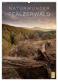 Cover NATURWUNDER PFÄLZERWALD (Wandkalender 2026 DIN A2 hoch), CALVENDO Monatskalender