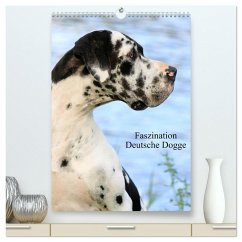 Cover Faszination Deutsche Dogge (hochwertiger Premium Wandkalender 2026 DIN A2 hoch), Kunstdruck in Hochglanz
