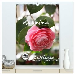 Kamelien Lichtblicke in der dunklen Jahreszeit (hochwertiger Premium Wandkalender 2026 DIN A2 hoch), Kunstdruck in Hochglanz Kamelien Lichtblicke in der dunklen Jahreszeit (hochwertiger Premium Wandkalender 2026 DIN A2 hoch), Kunstdruck in Hochglanz
